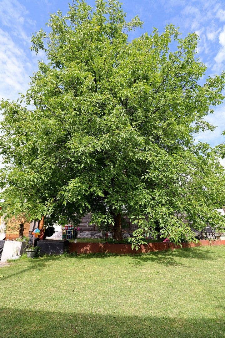 Prodej domu 280 m², pozemek 1.300 m², Grevenbroich, Severní Porýní-Vestfálsko Prodej domu 280 m², pozemek 1.300 m², Grevenbroich, Severní Porýní-Vestfálsko