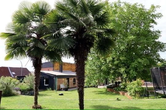 Prodej domu 280 m², pozemek 1.300 m², Grevenbroich, Severní Porýní-Vestfálsko Prodej domu 280 m², pozemek 1.300 m², Grevenbroich, Severní Porýní-Vestfálsko