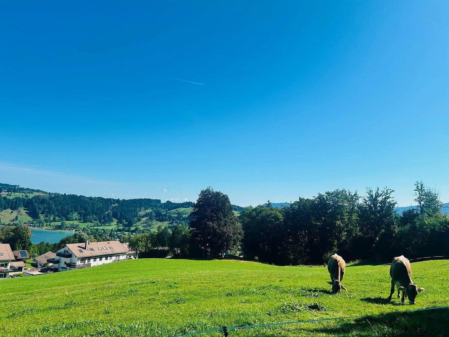 Prodej bytu 2+1 46 m², Gschwender-Horn-Weg 19, Immenstadt im Allgäu, Bavorsko Prodej bytu 2+1 46 m², Gschwender-Horn-Weg 19, Immenstadt im Allgäu, Bavorsko