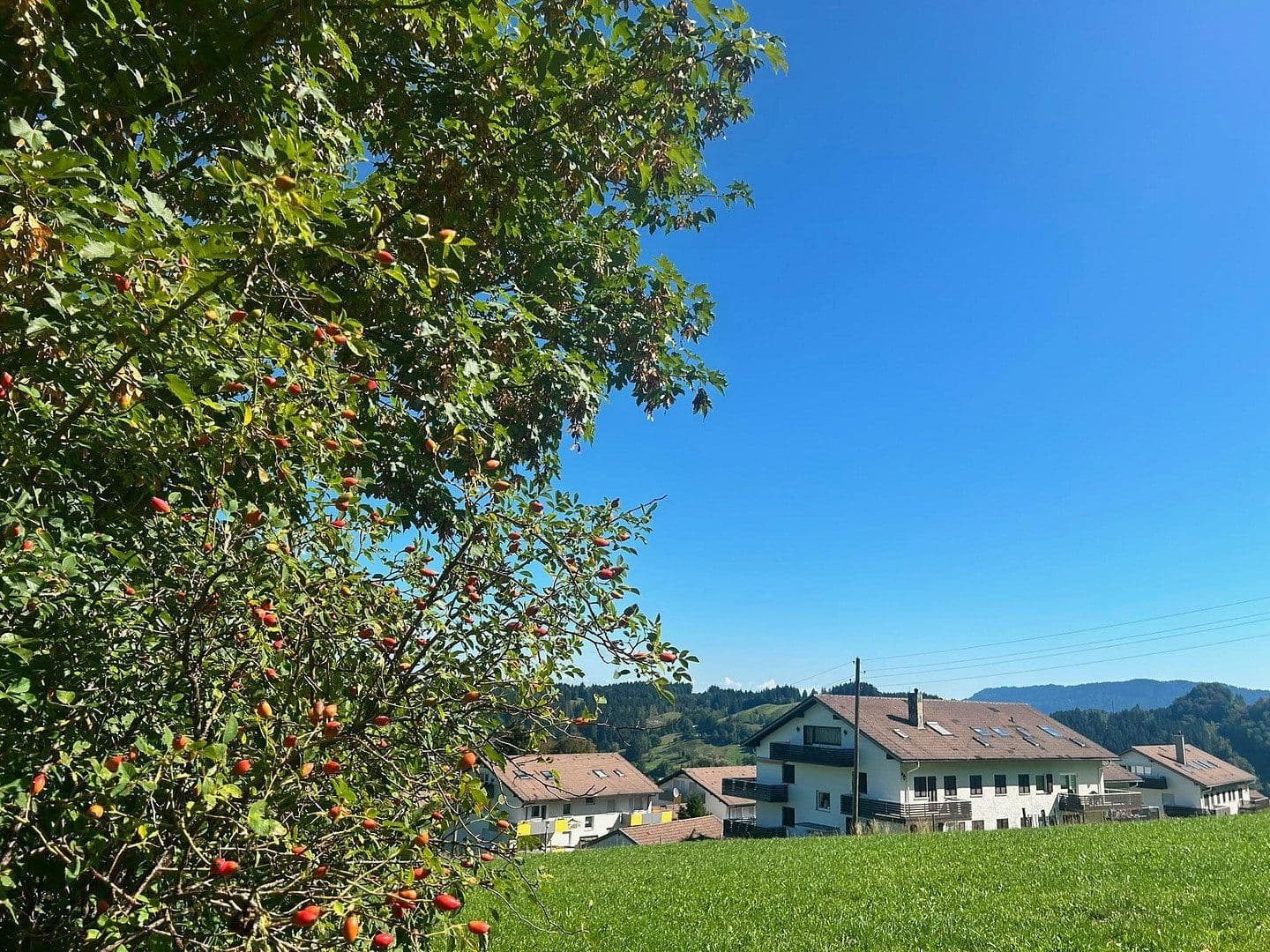 Prodej bytu 2+1 46 m², Gschwender-Horn-Weg 19, Immenstadt im Allgäu, Bavorsko Prodej bytu 2+1 46 m², Gschwender-Horn-Weg 19, Immenstadt im Allgäu, Bavorsko