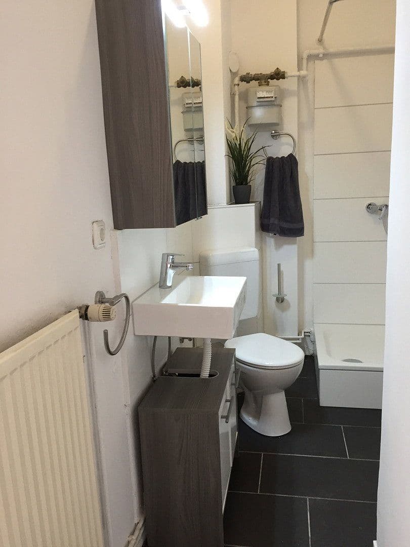 Pronájem bytu 1+1 40 m², Braunschweig, Dolní Sasko Pronájem bytu 1+1 40 m², Braunschweig, Dolní Sasko