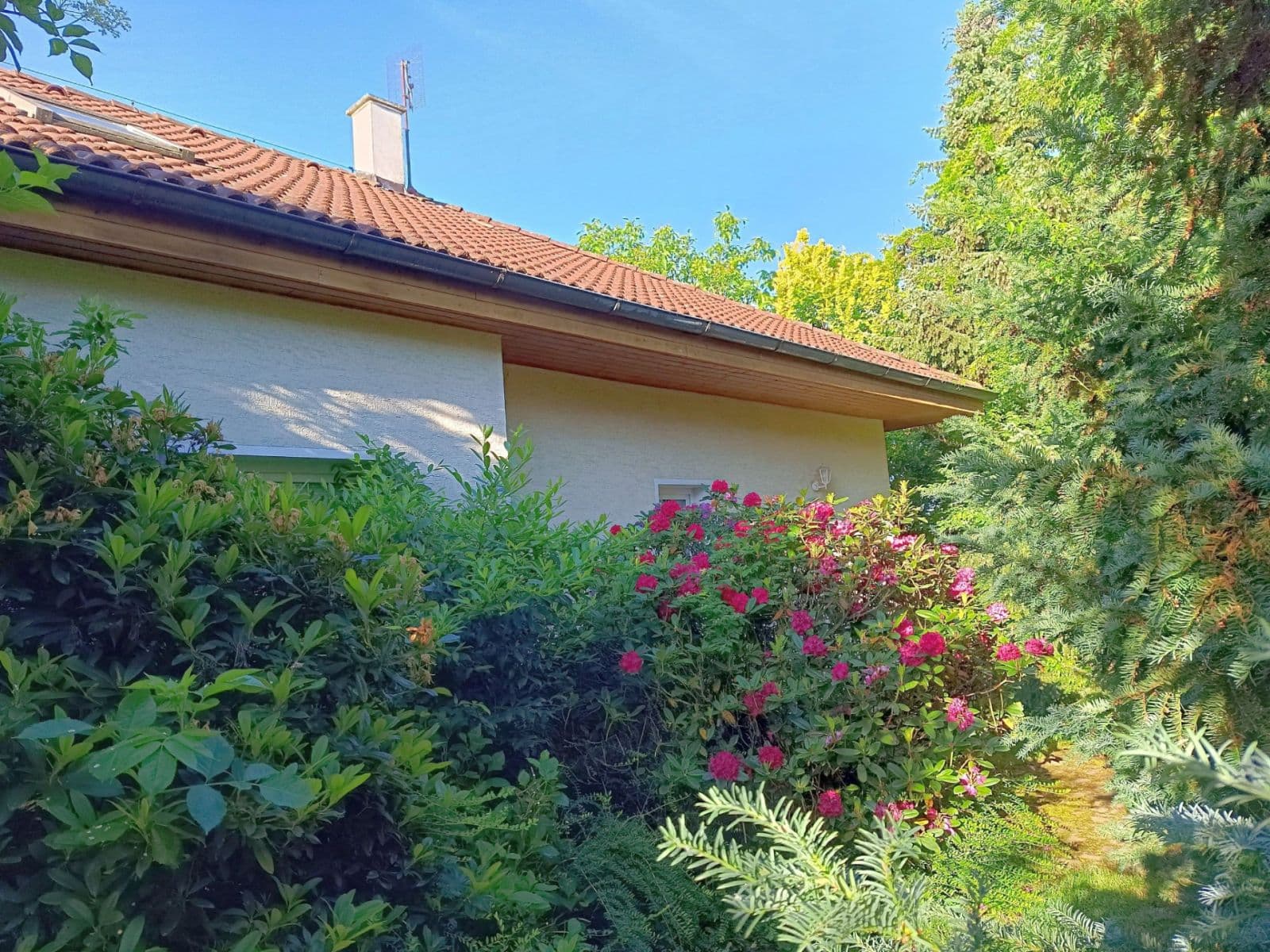 Prodej domu 180 m², pozemek 1.020 m², Ve Skále, Šestajovice, Středočeský kraj Prodej domu 180 m², pozemek 1.020 m², Ve Skále, Šestajovice, Středočeský kraj