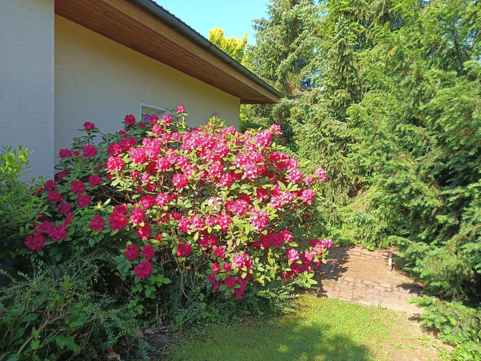 Prodej domu 180 m², pozemek 1.020 m², Ve Skále, Šestajovice, Středočeský kraj Prodej domu 180 m², pozemek 1.020 m², Ve Skále, Šestajovice, Středočeský kraj