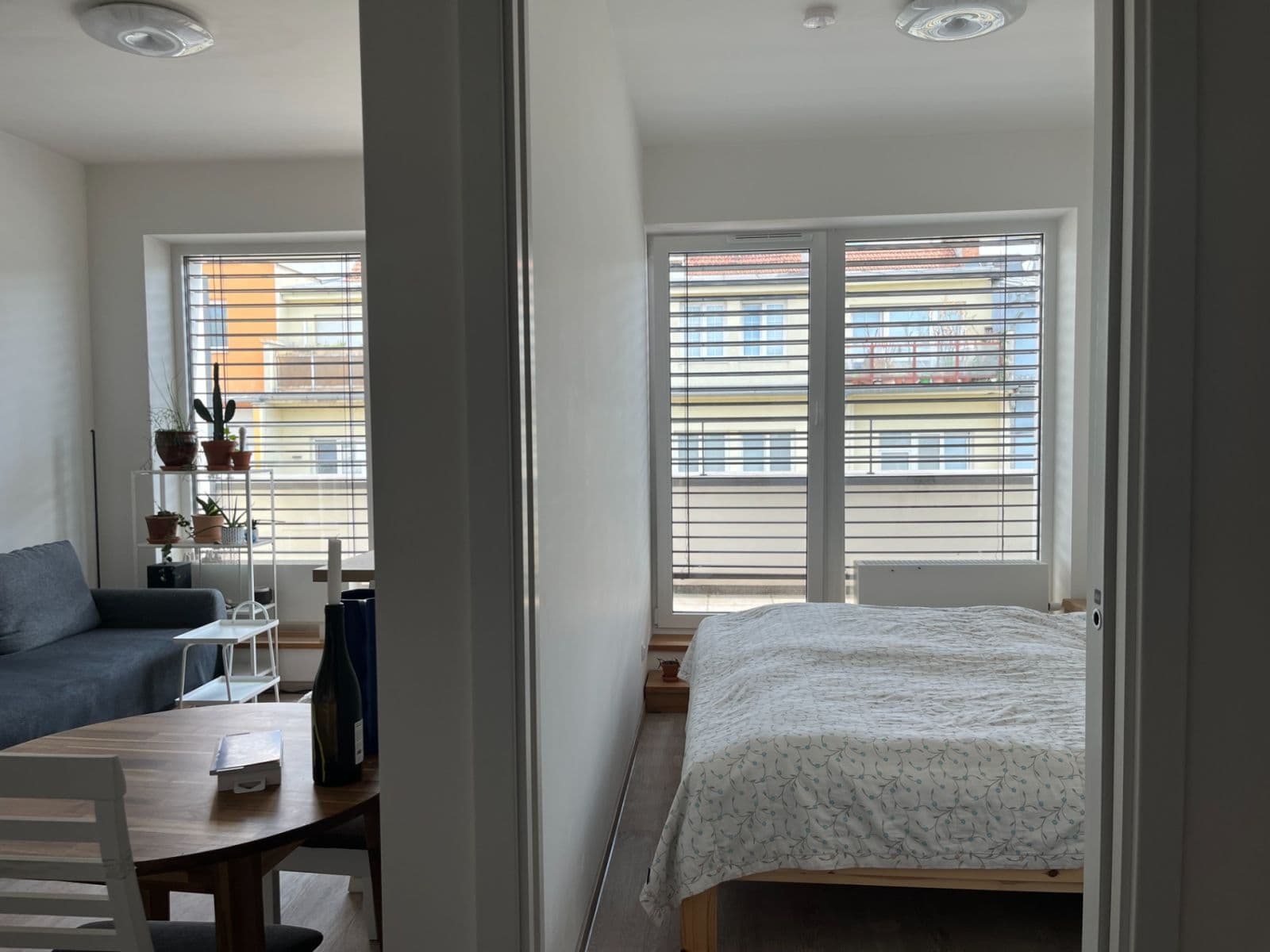 Pronájem bytu 2+kk 39 m², Hybešova, Brno, Jihomoravský kraj Pronájem bytu 2+kk 39 m², Hybešova, Brno, Jihomoravský kraj