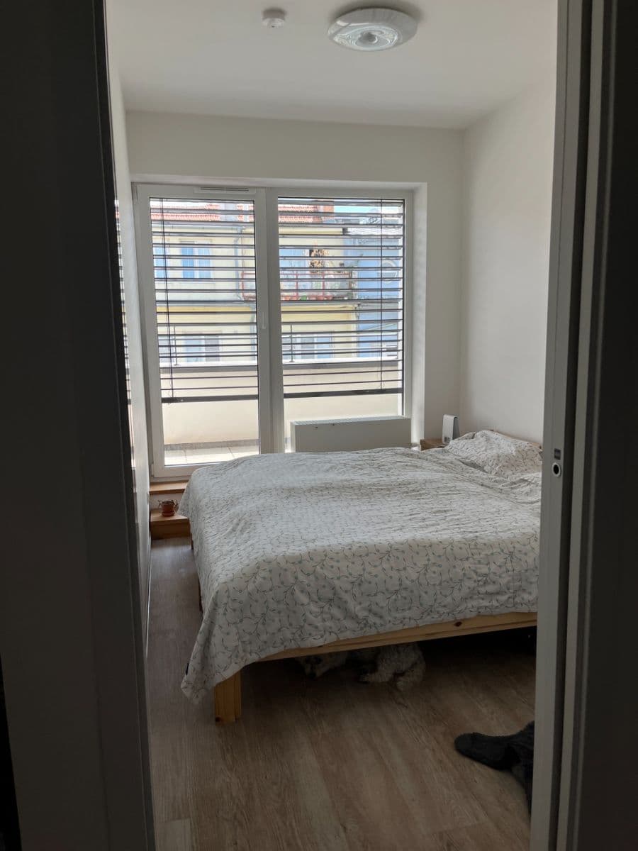 Pronájem bytu 2+kk 39 m², Hybešova, Brno, Jihomoravský kraj Pronájem bytu 2+kk 39 m², Hybešova, Brno, Jihomoravský kraj