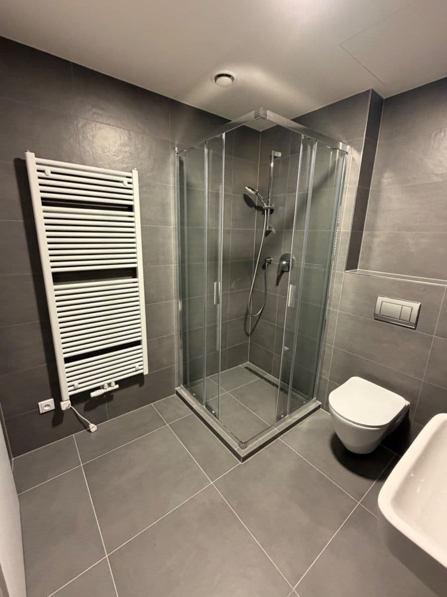 Pronájem bytu 1+kk 35 m², Nebřenická, Praha, Praha Pronájem bytu 1+kk 35 m², Nebřenická, Praha, Praha