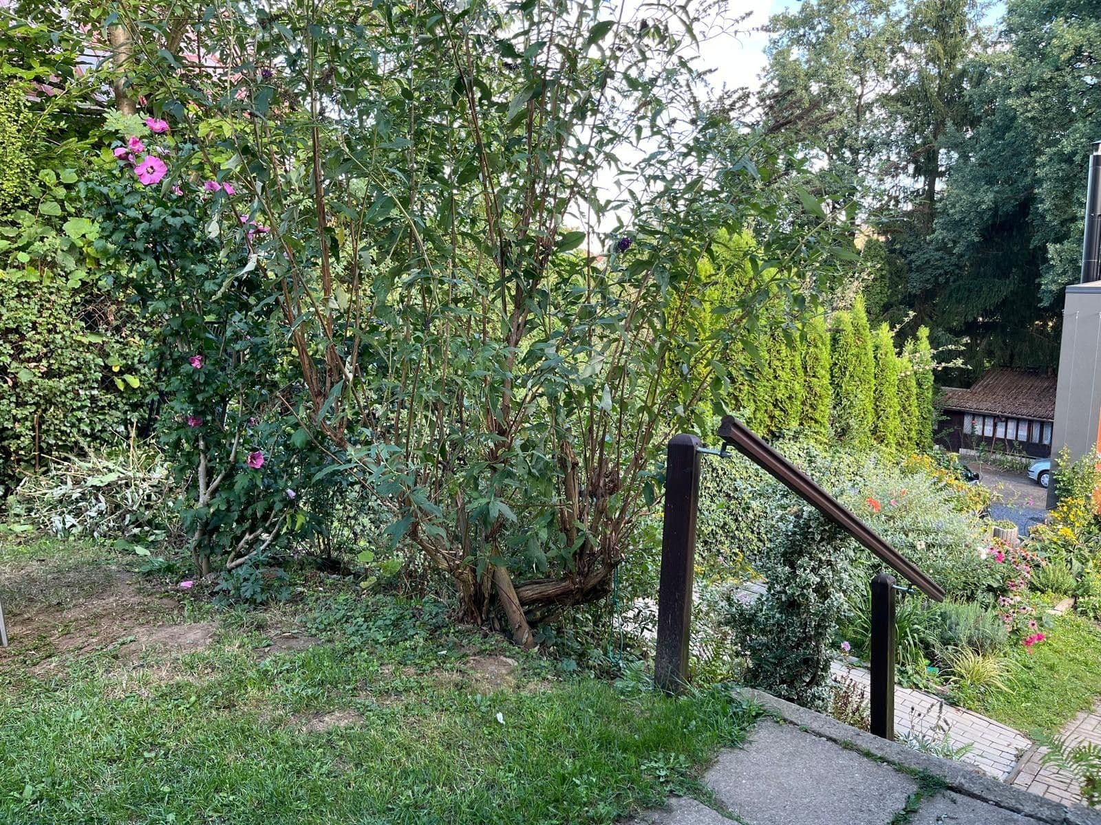 Pronájem domu 77 m², pozemek 137 m², Oddechová, Říčany, Středočeský kraj Pronájem domu 77 m², pozemek 137 m², Oddechová, Říčany, Středočeský kraj