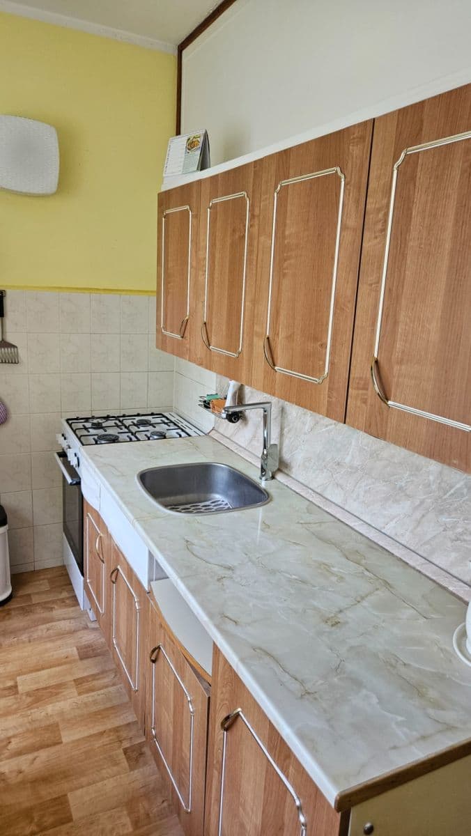 Pronájem bytu 2+1 55 m², náměstí SNP, Brno, Jihomoravský kraj Pronájem bytu 2+1 55 m², náměstí SNP, Brno, Jihomoravský kraj