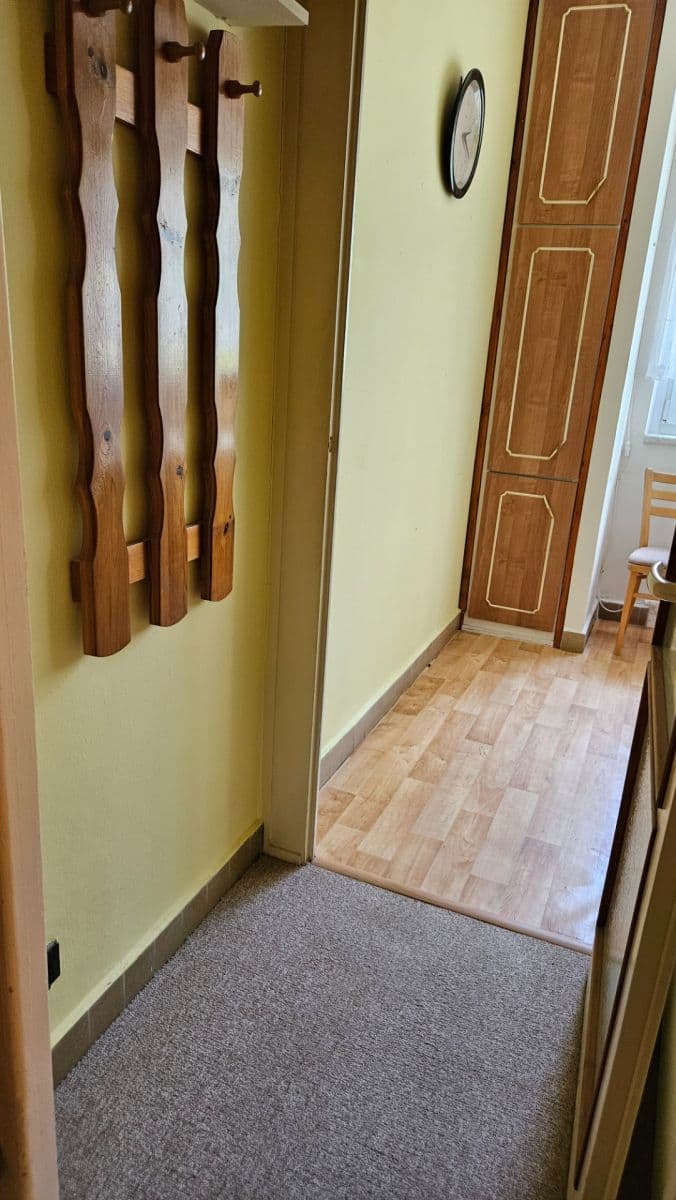 Pronájem bytu 2+1 55 m², náměstí SNP, Brno, Jihomoravský kraj Pronájem bytu 2+1 55 m², náměstí SNP, Brno, Jihomoravský kraj
