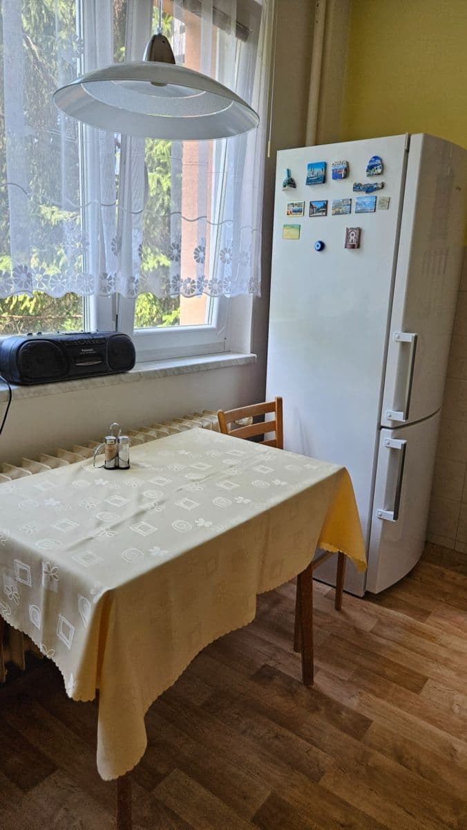 Pronájem bytu 2+1 55 m², náměstí SNP, Brno, Jihomoravský kraj Pronájem bytu 2+1 55 m², náměstí SNP, Brno, Jihomoravský kraj