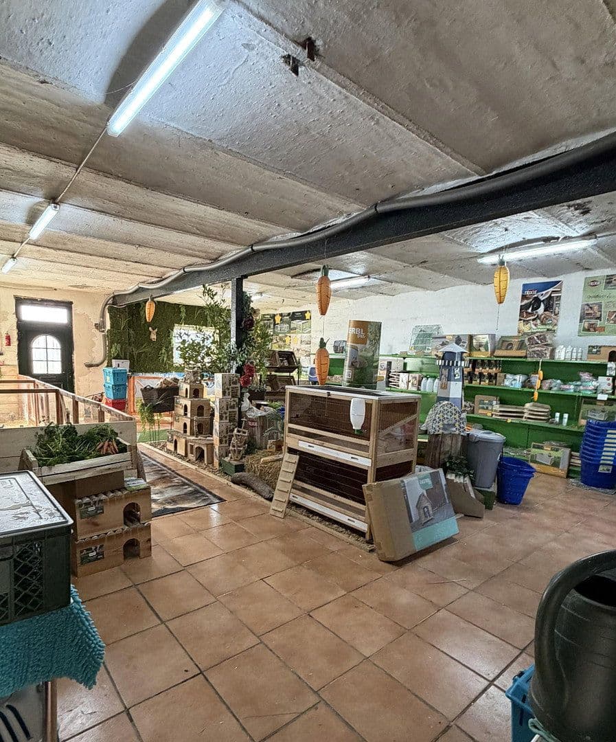 Prodej domu 108 m², pozemek 1.120 m², Brüggen, Severní Porýní-Vestfálsko Prodej domu 108 m², pozemek 1.120 m², Brüggen, Severní Porýní-Vestfálsko