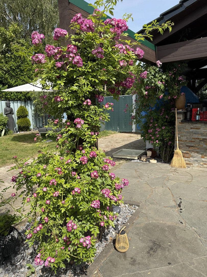 Prodej domu 108 m², pozemek 1.120 m², Brüggen, Severní Porýní-Vestfálsko Prodej domu 108 m², pozemek 1.120 m², Brüggen, Severní Porýní-Vestfálsko