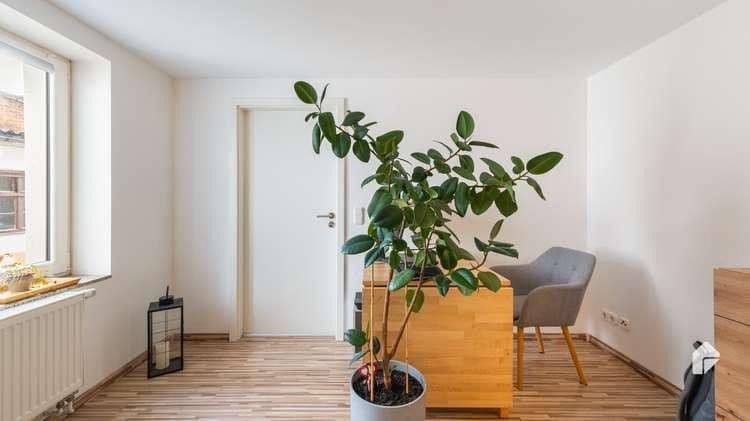 Pronájem bytu 4+1 127 m², Bad Belzig, Braniborsko Pronájem bytu 4+1 127 m², Bad Belzig, Braniborsko