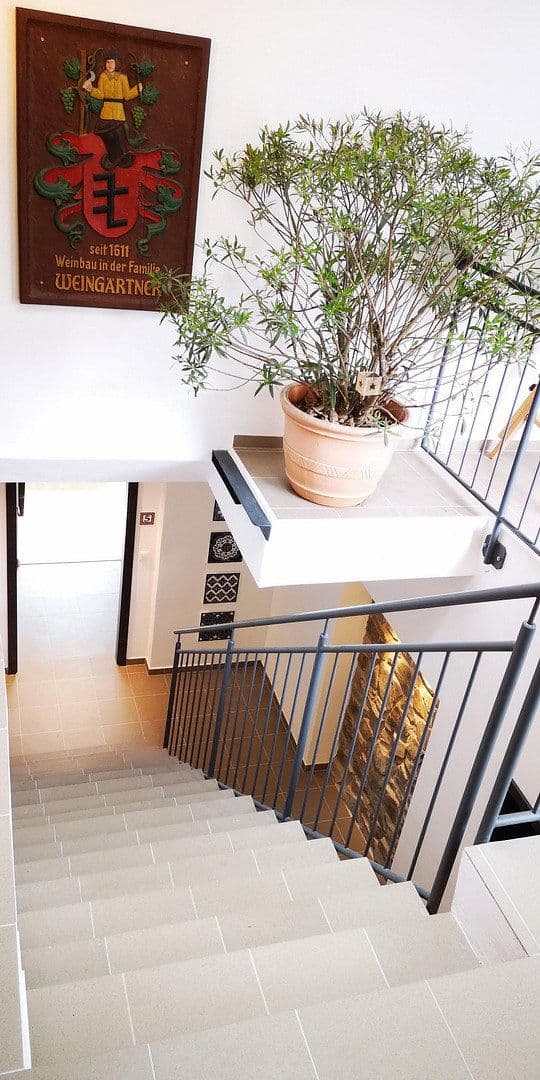 Prodej nebytového prostoru 8.300 m², Schloßstr. 14, Starkenburg, Porýní-Falc Prodej nebytového prostoru 8.300 m², Schloßstr. 14, Starkenburg, Porýní-Falc