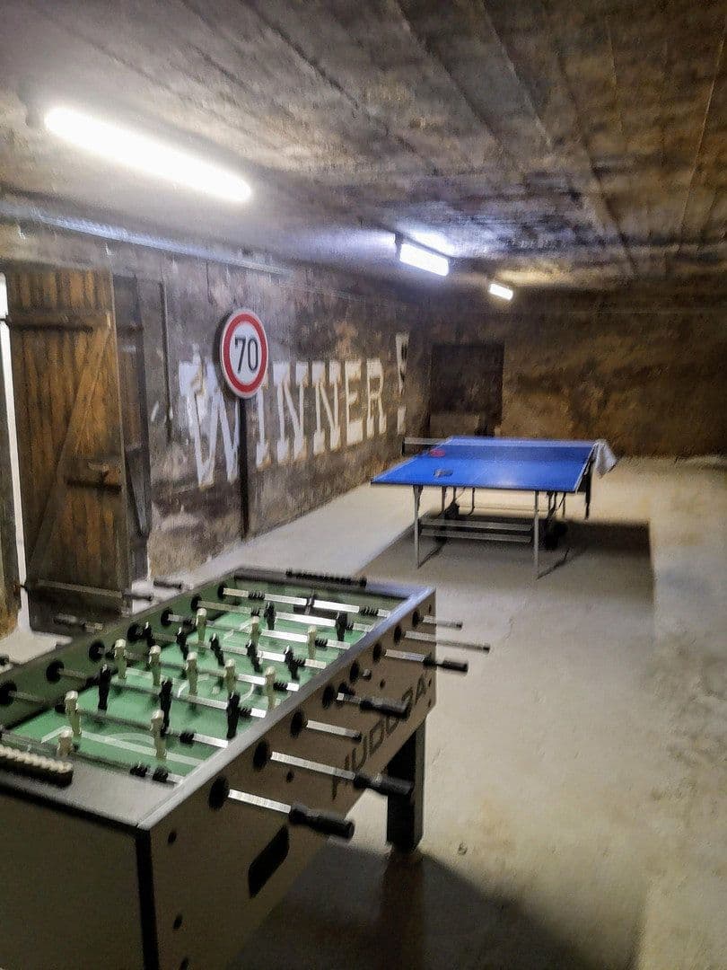Prodej nebytového prostoru 8.300 m², Schloßstr. 14, Starkenburg, Porýní-Falc Prodej nebytového prostoru 8.300 m², Schloßstr. 14, Starkenburg, Porýní-Falc