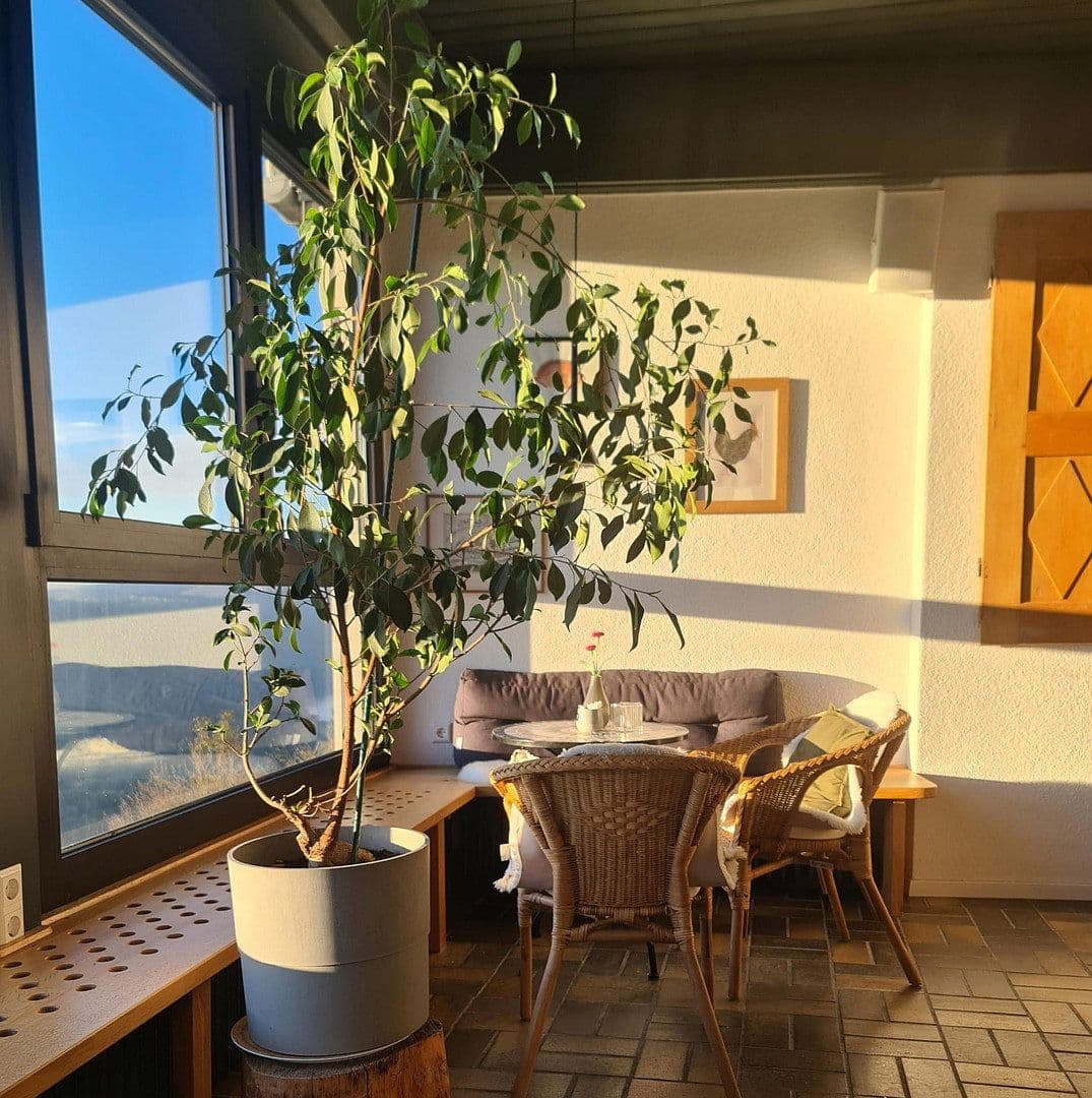 Prodej nebytového prostoru 8.300 m², Schloßstr. 14, Starkenburg, Porýní-Falc Prodej nebytového prostoru 8.300 m², Schloßstr. 14, Starkenburg, Porýní-Falc