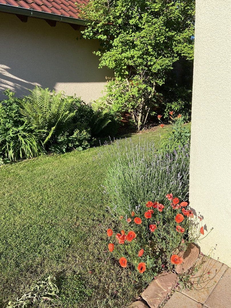 Prodej domu 224 m², pozemek 618 m², Schwäbisch Hall, Bádensko-Württembersko Prodej domu 224 m², pozemek 618 m², Schwäbisch Hall, Bádensko-Württembersko