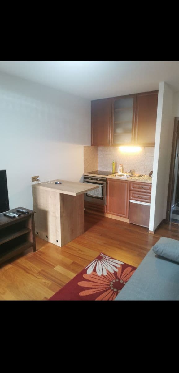 Pronájem bytu 1+kk 25 m², Severní, Zvole, Středočeský kraj Pronájem bytu 1+kk 25 m², Severní, Zvole, Středočeský kraj