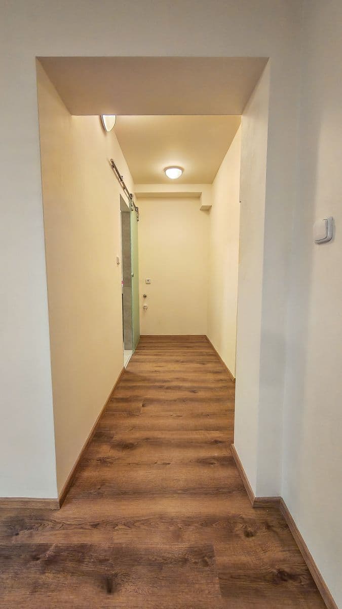 Pronájem bytu 1+kk 30 m², Lukešova, Praha, Praha Pronájem bytu 1+kk 30 m², Lukešova, Praha, Praha