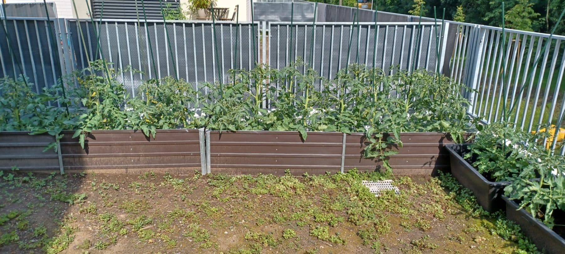 Pronájem bytu 1+kk 39 m², Odolena Voda, Středočeský kraj Pronájem bytu 1+kk 39 m², Odolena Voda, Středočeský kraj
