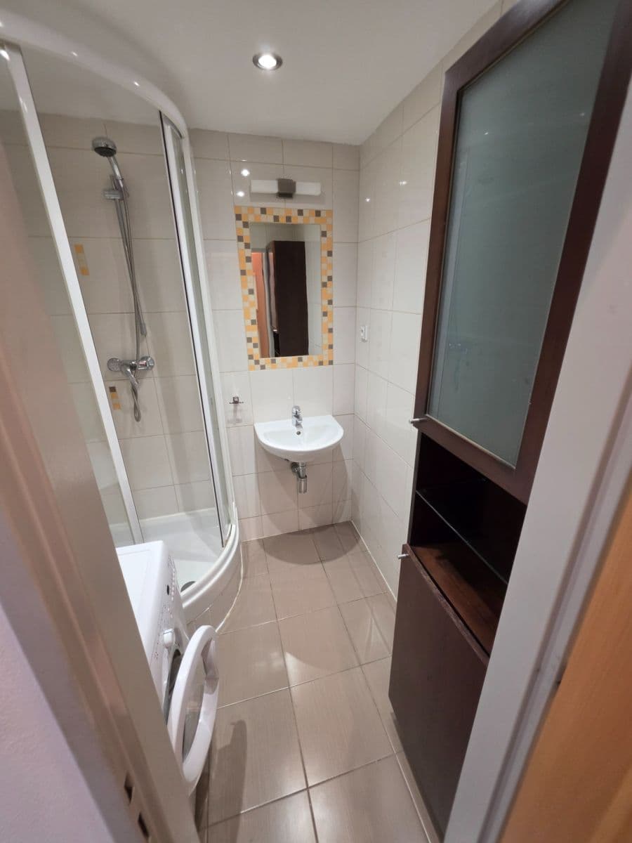 Pronájem bytu 1+kk 40 m², Imrychova, Praha, Praha Pronájem bytu 1+kk 40 m², Imrychova, Praha, Praha