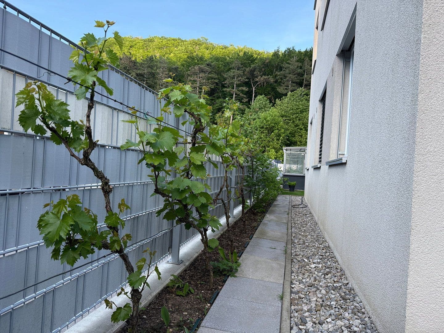 Prodej bytu 4+1 88 m², Purkersdorf, Dolní Rakousko Prodej bytu 4+1 88 m², Purkersdorf, Dolní Rakousko