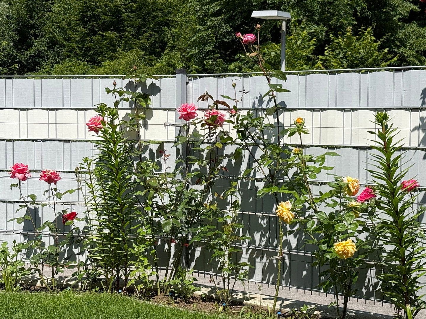 Prodej bytu 4+1 88 m², Purkersdorf, Dolní Rakousko Prodej bytu 4+1 88 m², Purkersdorf, Dolní Rakousko