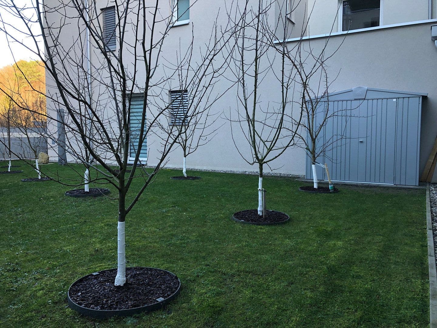 Prodej bytu 4+1 88 m², Purkersdorf, Dolní Rakousko Prodej bytu 4+1 88 m², Purkersdorf, Dolní Rakousko
