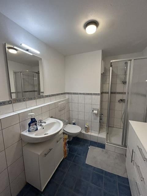 Prodej domu 885 m², pozemek 1.100 m², Regen, Bavorsko Prodej domu 885 m², pozemek 1.100 m², Regen, Bavorsko