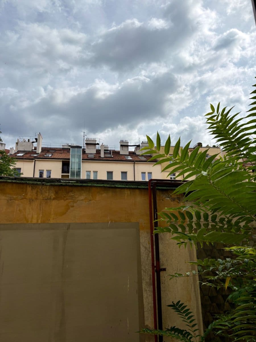 Pronájem bytu 2+kk 50 m², Veverkova, Praha, Praha Pronájem bytu 2+kk 50 m², Veverkova, Praha, Praha