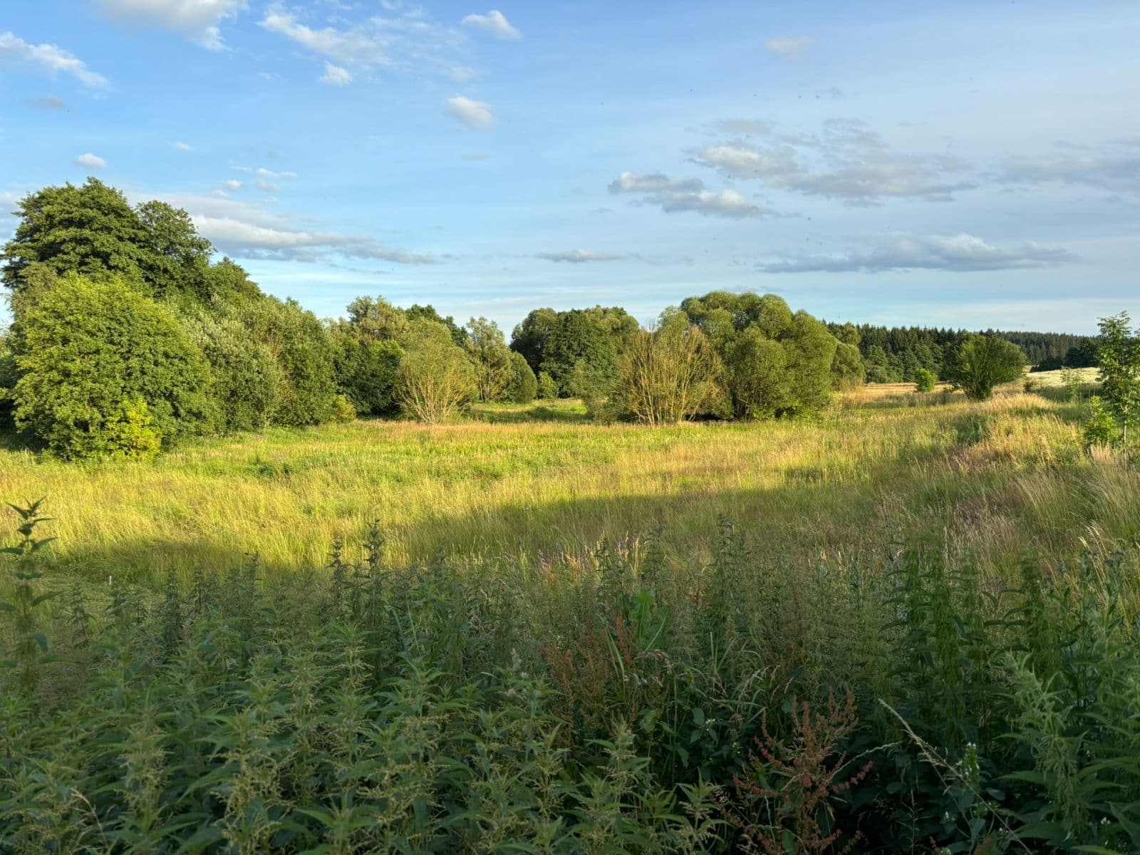 Prodej pozemku 1.425 m², Lhotka, Kraj Vysočina Prodej pozemku 1.425 m², Lhotka, Kraj Vysočina