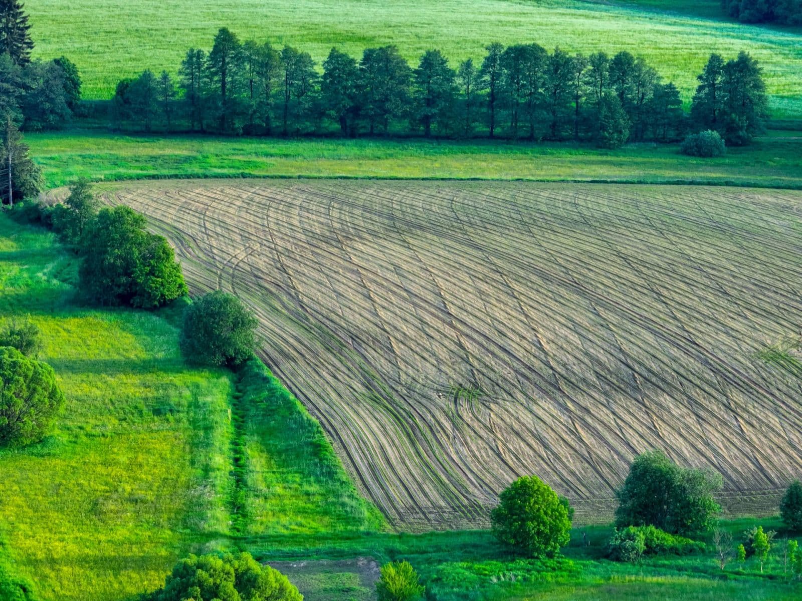 Prodej pozemku 1.425 m², Lhotka, Kraj Vysočina Prodej pozemku 1.425 m², Lhotka, Kraj Vysočina