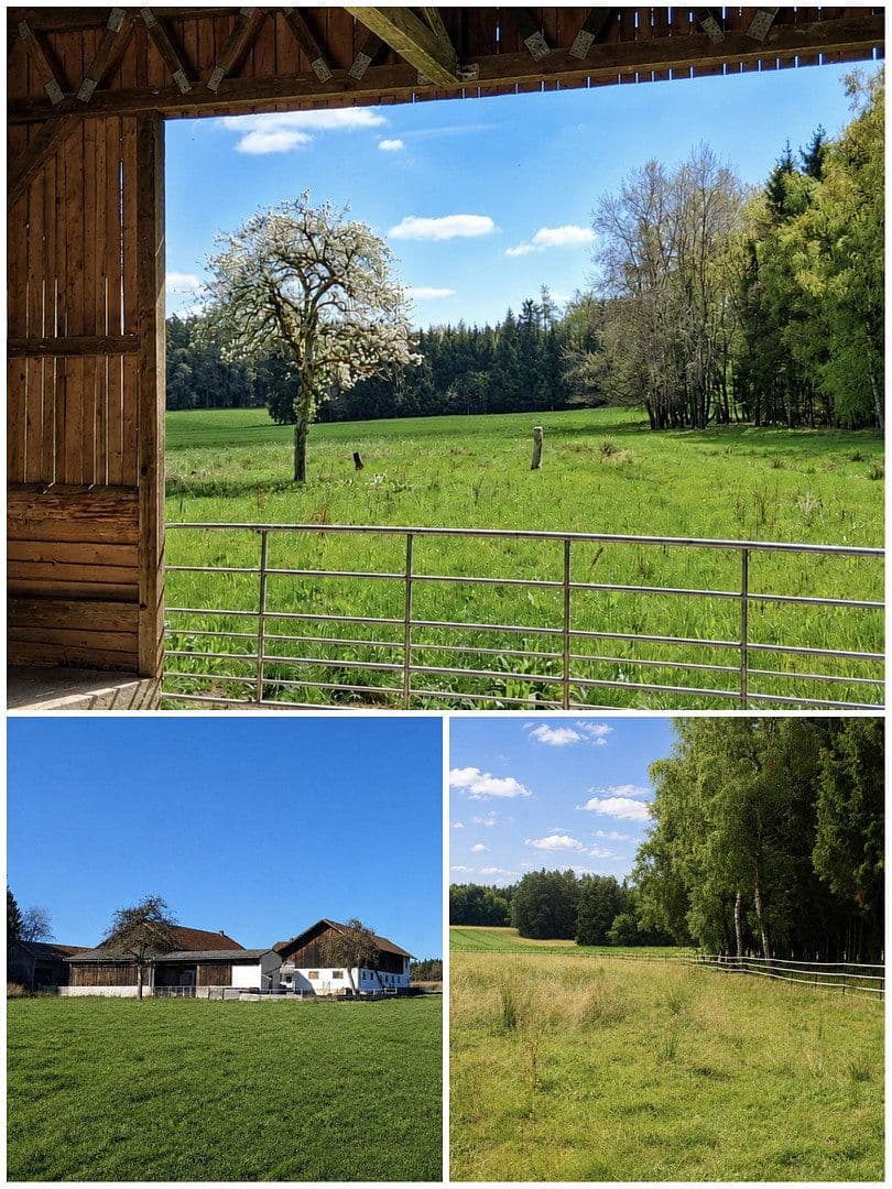Prodej domu 147 m², pozemek 13.000 m², Egglham, Bavorsko Prodej domu 147 m², pozemek 13.000 m², Egglham, Bavorsko