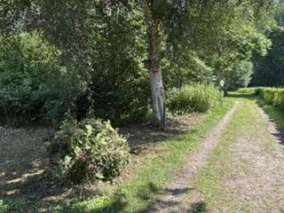 Prodej domu 106 m², pozemek 1.240 m², Angelnstraße19, Süderbrarup, Šlesvicko-Holštýnsko Prodej domu 106 m², pozemek 1.240 m², Angelnstraße19, Süderbrarup, Šlesvicko-Holštýnsko