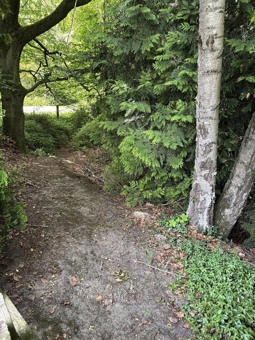 Prodej domu 65 m², pozemek 944 m², Bassum, Dolní Sasko Prodej domu 65 m², pozemek 944 m², Bassum, Dolní Sasko