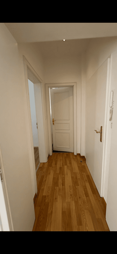 Pronájem bytu 1+1 48 m², Friedrichstrasse 47, Wiesbaden-Innenstadt, Hessen Pronájem bytu 1+1 48 m², Friedrichstrasse 47, Wiesbaden-Innenstadt, Hessen