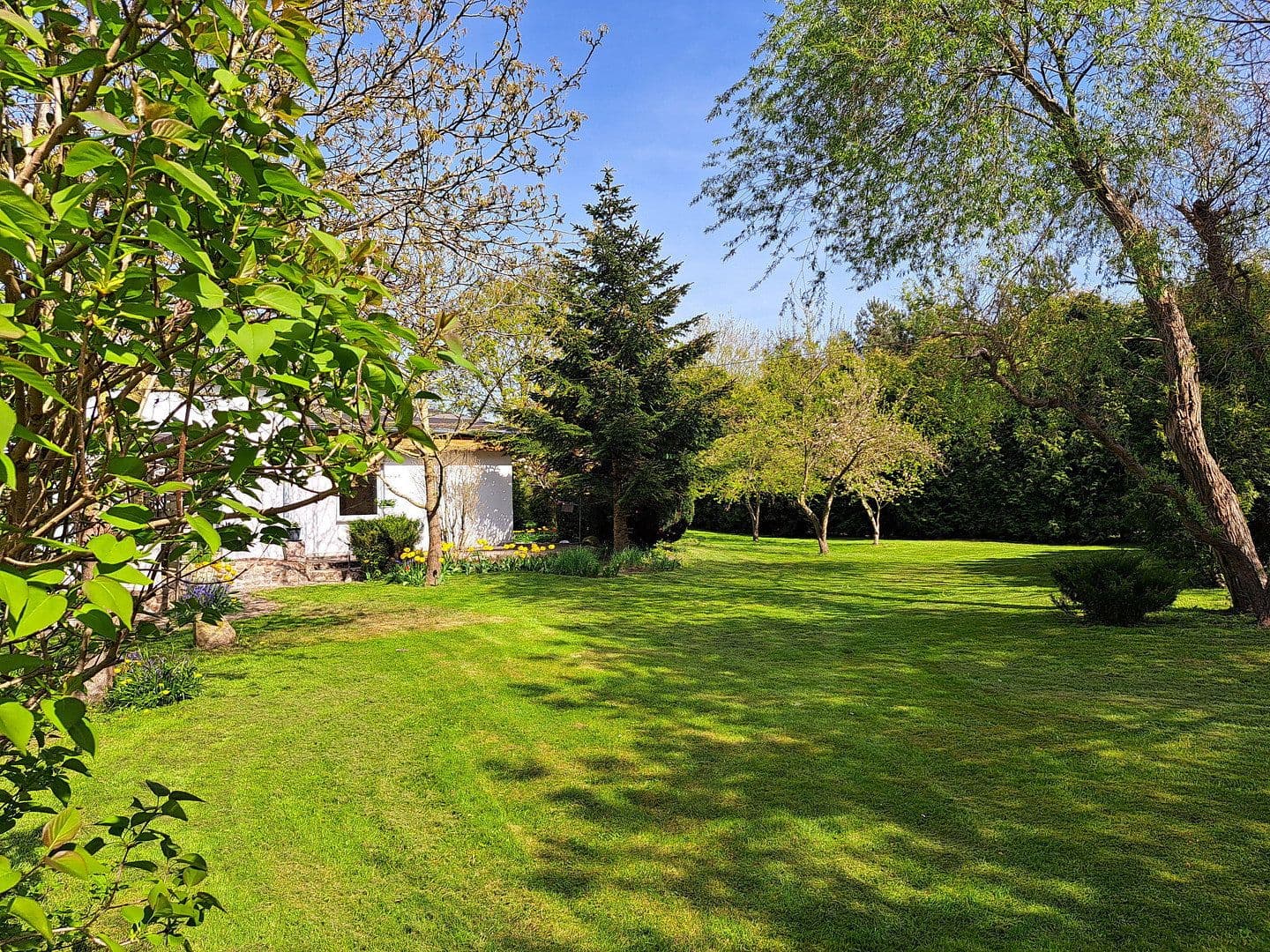 Prodej pozemku 1.220 m², Parkstraße 7, Velgast, Mecklenburg-Vorpommern Prodej pozemku 1.220 m², Parkstraße 7, Velgast, Mecklenburg-Vorpommern