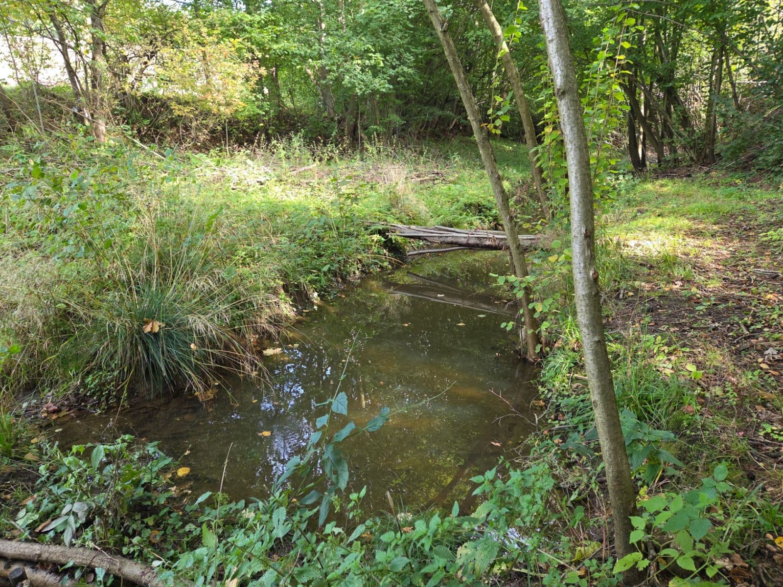 Prodej pozemku 22.420 m², Horní Bečva, Zlínský kraj Prodej pozemku 22.420 m², Horní Bečva, Zlínský kraj
