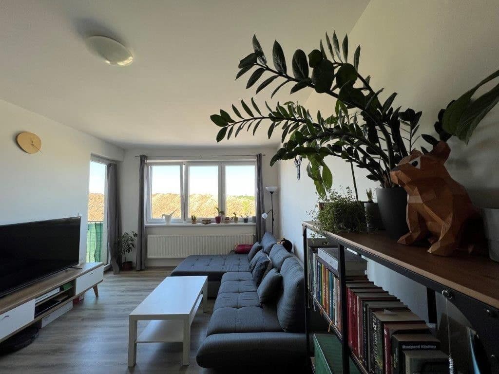 Pronájem bytu 2+kk 69 m², Aloise Rašína, Olomouc, Olomoucký kraj Pronájem bytu 2+kk 69 m², Aloise Rašína, Olomouc, Olomoucký kraj