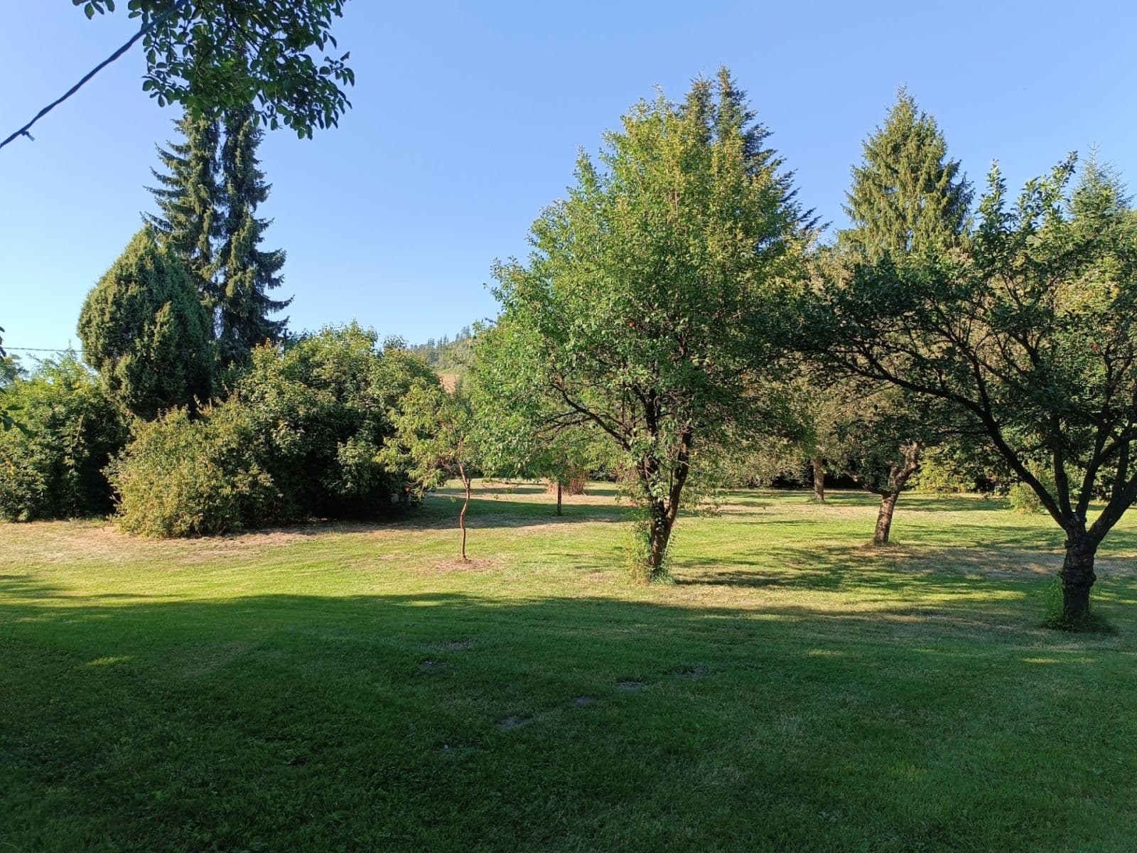 Prodej domu 175 m², pozemek 3.000 m², Město Albrechtice, Moravskoslezský kraj Prodej domu 175 m², pozemek 3.000 m², Město Albrechtice, Moravskoslezský kraj