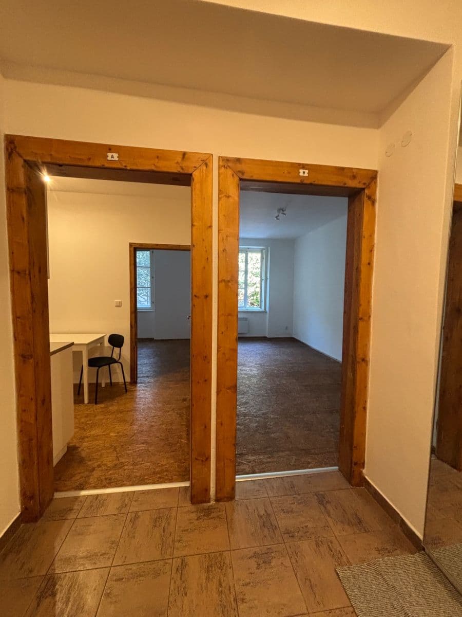Pronájem bytu 2+1 45 m², Žerotínova, Praha, Praha Pronájem bytu 2+1 45 m², Žerotínova, Praha, Praha