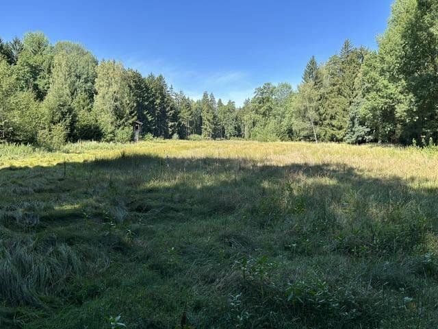 Prodej pozemku 26.610 m², Forstern, Bavorsko Prodej pozemku 26.610 m², Forstern, Bavorsko