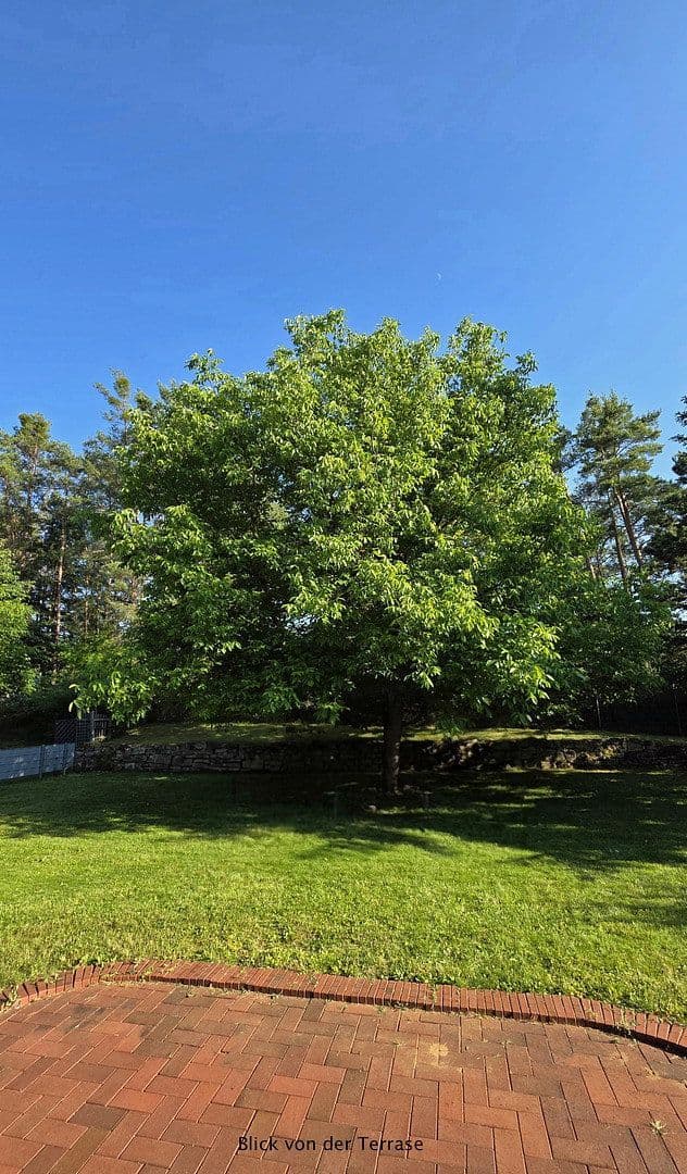 Prodej domu 177 m², pozemek 2.100 m², Hohenburg, Bavorsko Prodej domu 177 m², pozemek 2.100 m², Hohenburg, Bavorsko