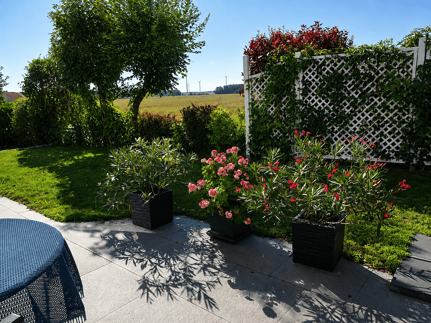 Prodej domu 175 m², pozemek 492 m², Irisweg 21, Stahnsdorf, Braniborsko Prodej domu 175 m², pozemek 492 m², Irisweg 21, Stahnsdorf, Braniborsko