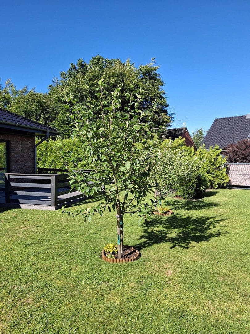 Prodej domu 69 m², pozemek 553 m², Alt Bennebek, Šlesvicko-Holštýnsko Prodej domu 69 m², pozemek 553 m², Alt Bennebek, Šlesvicko-Holštýnsko