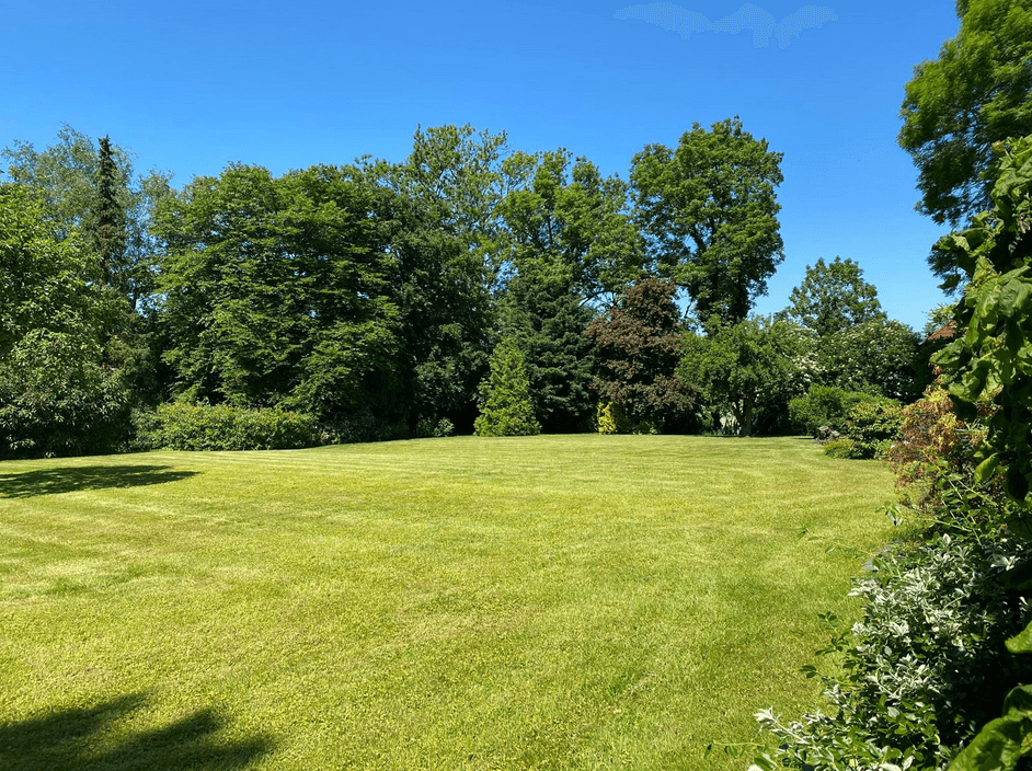 Prodej domu 350 m², pozemek 6.000 m², Hagen im Bremischen, Dolní Sasko Prodej domu 350 m², pozemek 6.000 m², Hagen im Bremischen, Dolní Sasko