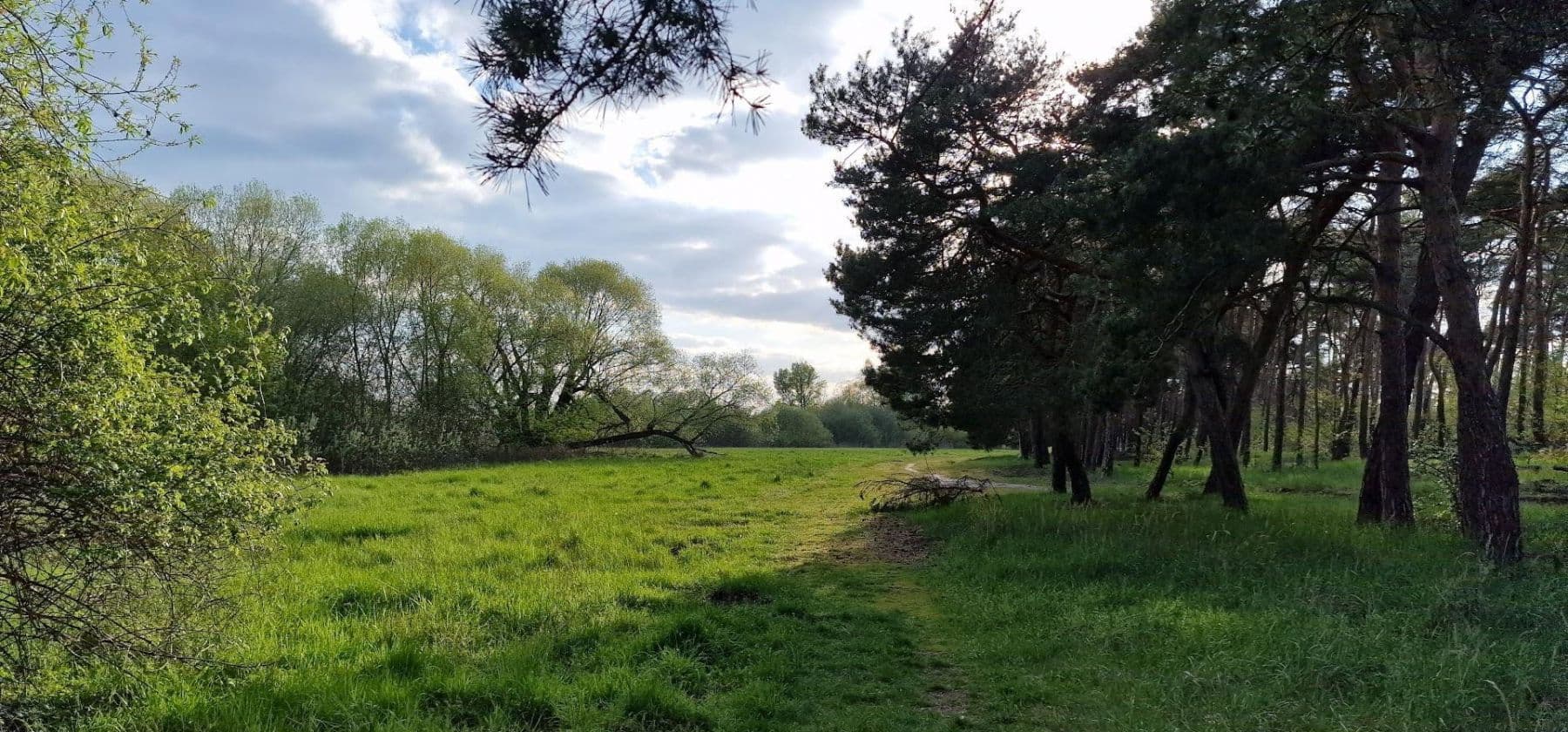 Pronájem domu 148 m², pozemek 191 m², Brandenburg an der Havel, Braniborsko Pronájem domu 148 m², pozemek 191 m², Brandenburg an der Havel, Braniborsko