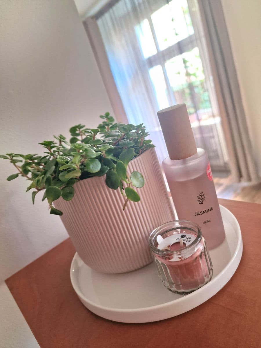 Pronájem bytu, Horova, Hradec Králové, Královéhradecký kraj Pronájem bytu, Horova, Hradec Králové, Královéhradecký kraj