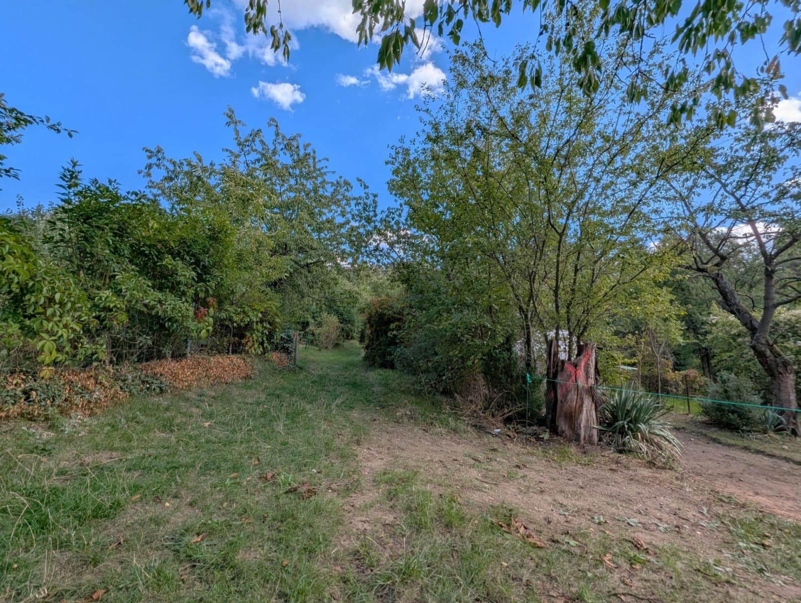 Pronájem pozemku 120 m², Pod Havránkou, Praha, Praha Pronájem pozemku 120 m², Pod Havránkou, Praha, Praha