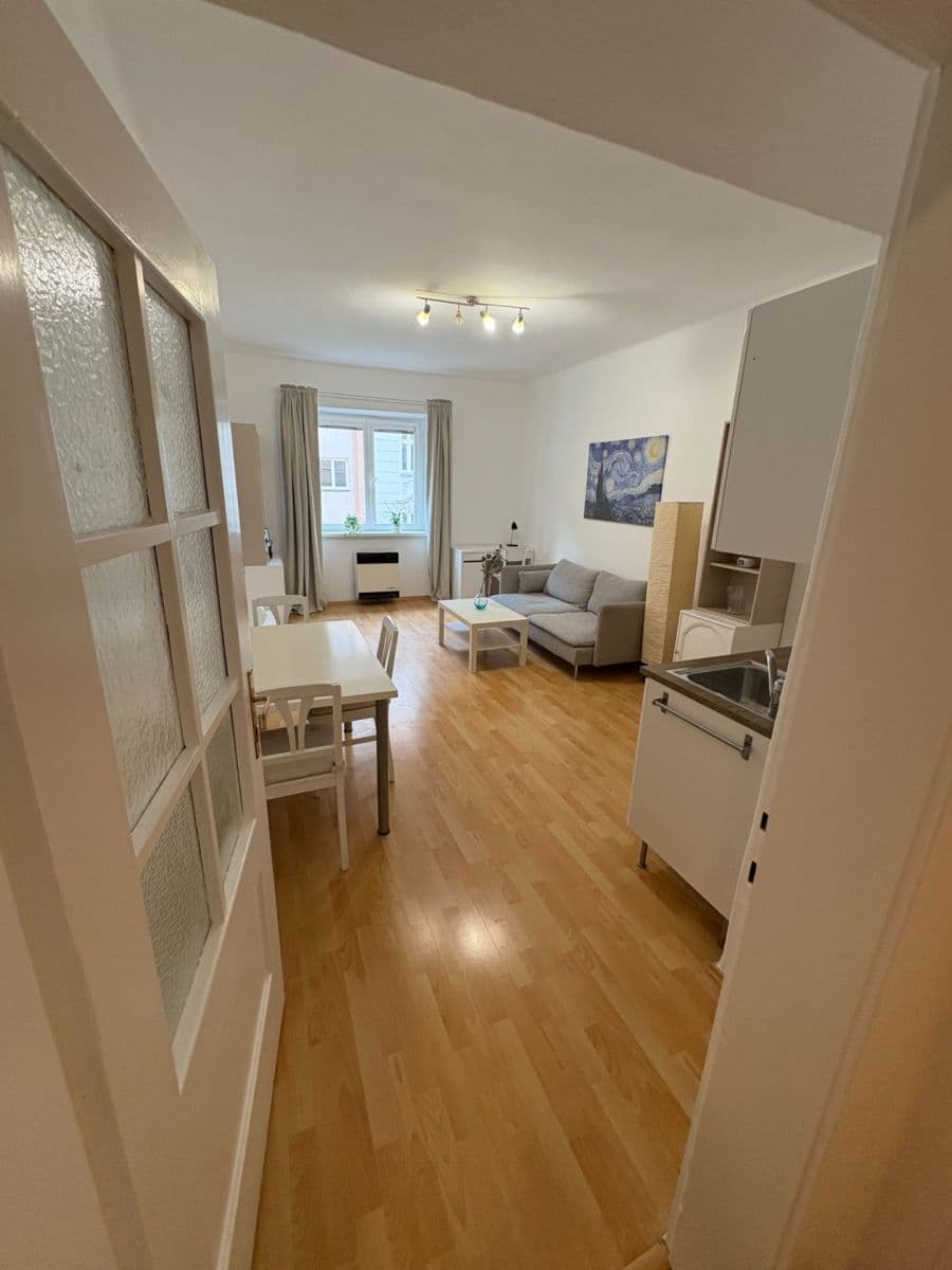 Pronájem bytu 2+kk 50 m², Petra Slezáka, Praha, Praha Pronájem bytu 2+kk 50 m², Petra Slezáka, Praha, Praha